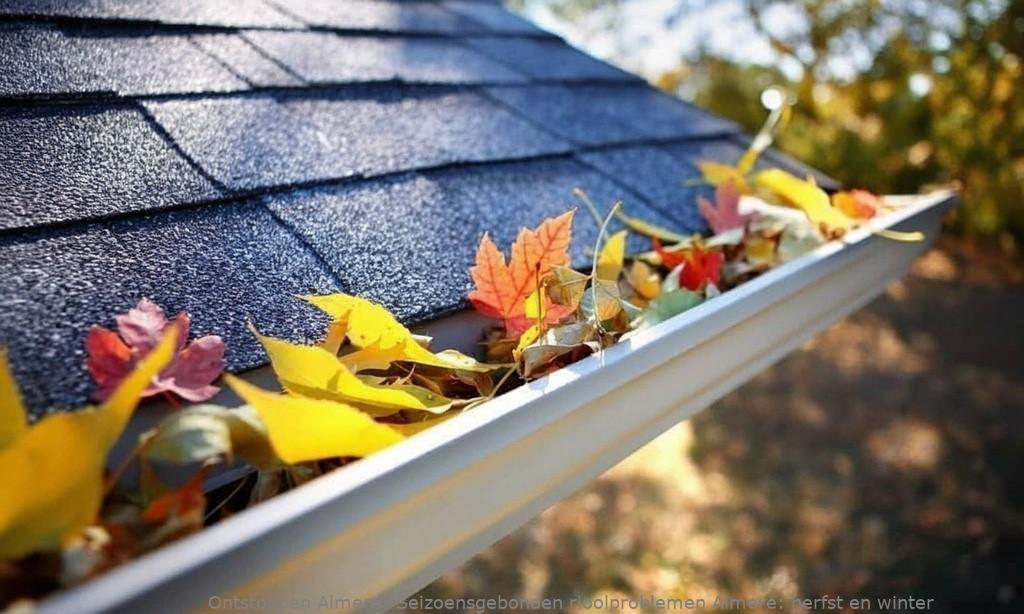 Seizoensgebonden rioolproblemen Almere: herfst en winter